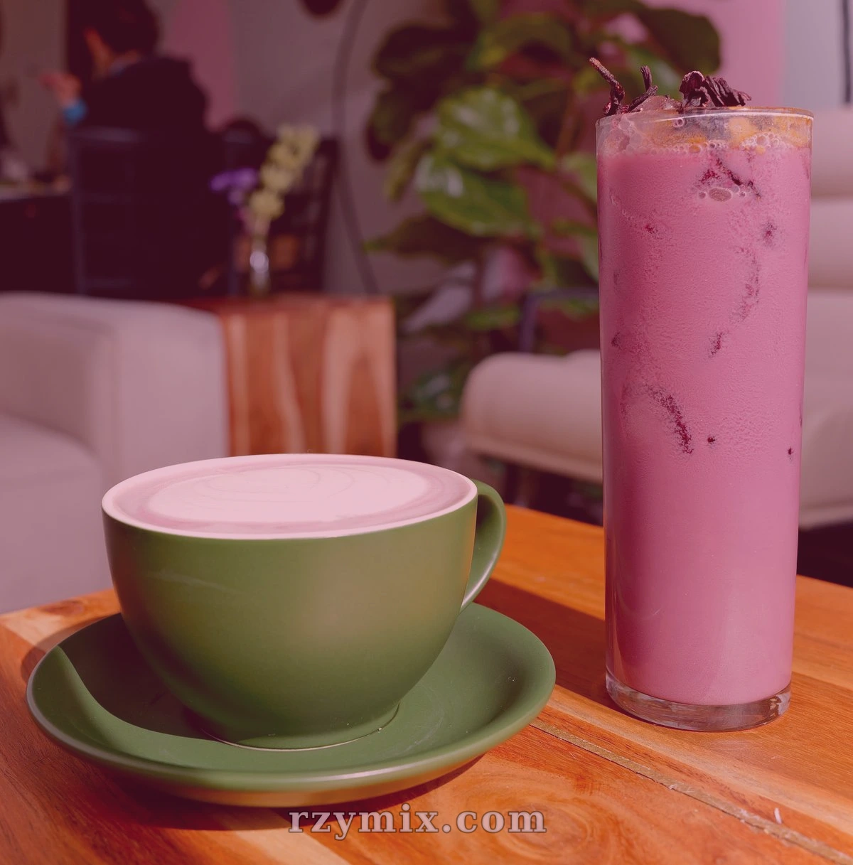 suzume- jamaica masala chai